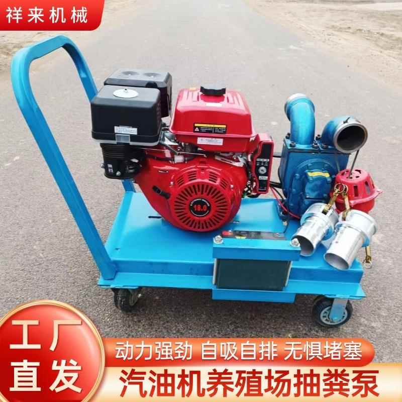 汽油机养殖场抽粪泵手推式市政下水道抽吸机小型河道淤泥吸污泵
