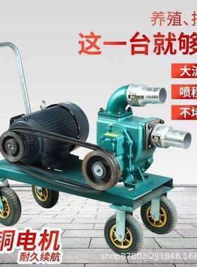 鸭猪粪吸污泵吸力强检修方便自吸自排污泥泵小型抽粪泵