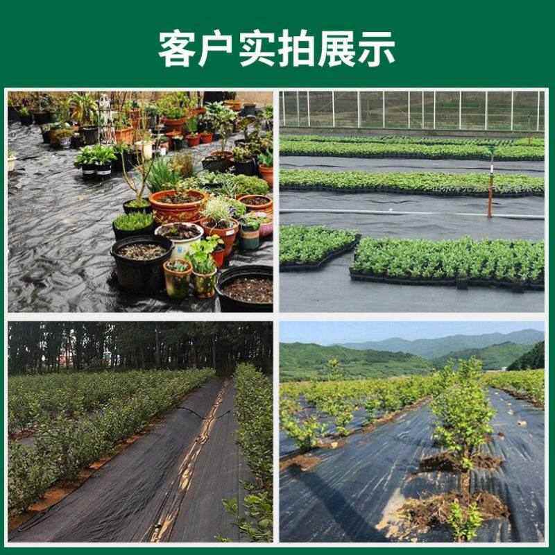 链工园艺除草布果园果树盖草布PE无纺布抑草地布1*400m/卷80克