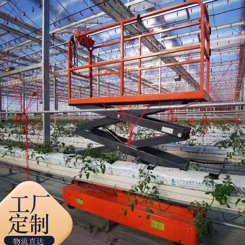 果蔬大棚电动采摘机 轨道自行走温室升降车 家用移动式升高车