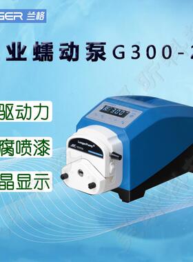 兰格(LongerPump)工业蠕动泵G300-2J适配泵头YZ1515X-A/CDG15-24