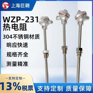 231热电阻高温垃圾站硫化厂火炉pt100探头304不锈钢测温棒 WZP