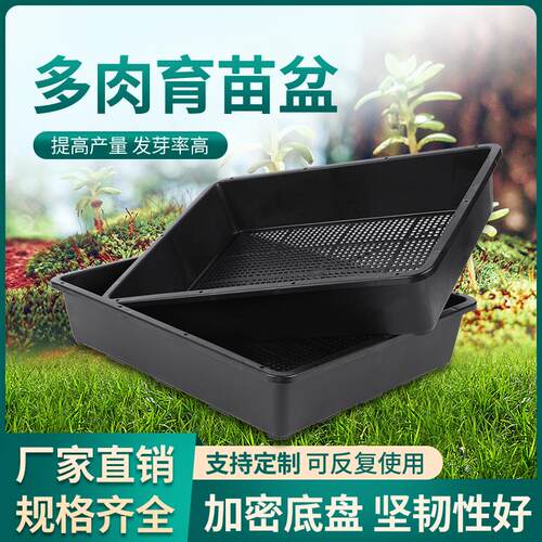 7.5cm高多肉育苗箱S5芽苗菜育苗盘盒多肉叶插塑料花盆种植收纳盒