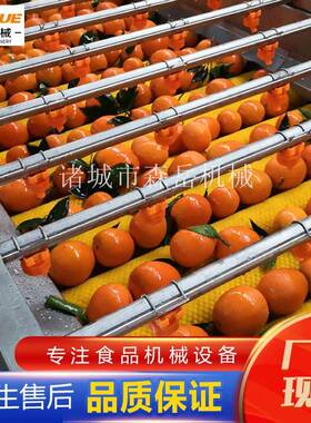 橄榄果鸡蛋果清洗机304不锈钢山东诸城工厂水果平行毛刷洗果机