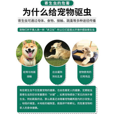狗身上去蜱虫专用药宠物皮肤病狗狗除蚤灭虱户外驱虫螨虫狗癣用