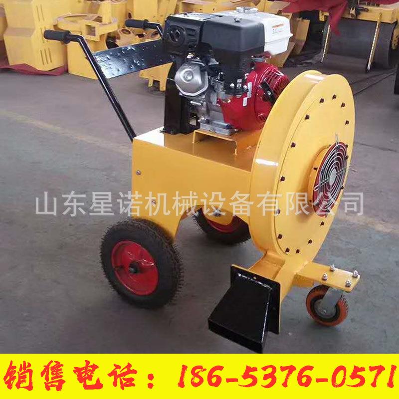 小型汽油手推式小型路面清尘清灰吹风机 手推式马路吹风机