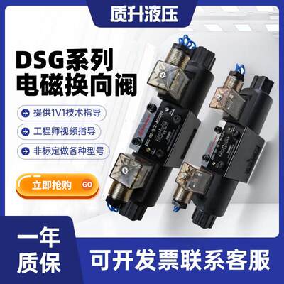 液压电磁换向阀双向单向DSG-02-2B23C2343C60-DL D24油研线圈
