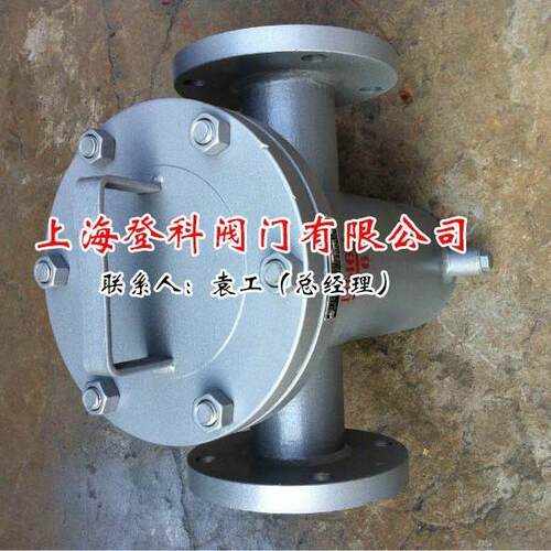 T型蓝D式过滤器 平底蓝式过滤器登科 管过滤器上海厂家 N 20道0