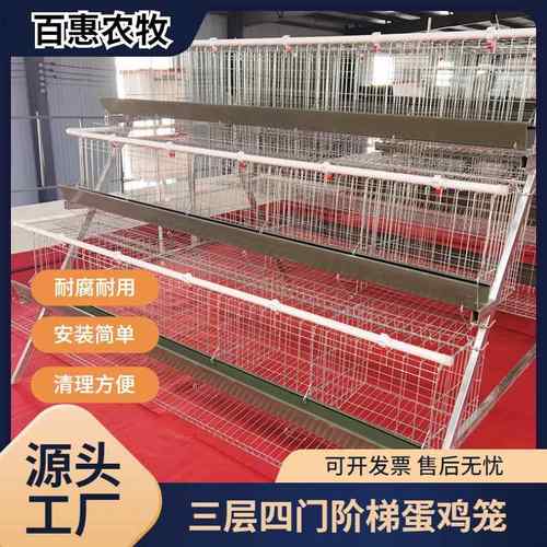 养殖场用三层四门绿槽蛋鸡笼设备镀锌多层阶梯式笼养鸡设备厂家