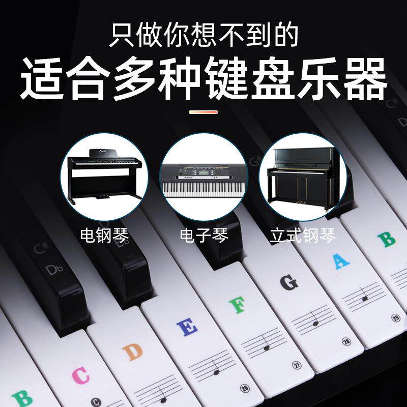 彩色英文无胶琴键贴886154键通用儿童成人钢琴电子琴键盘静电贴纸