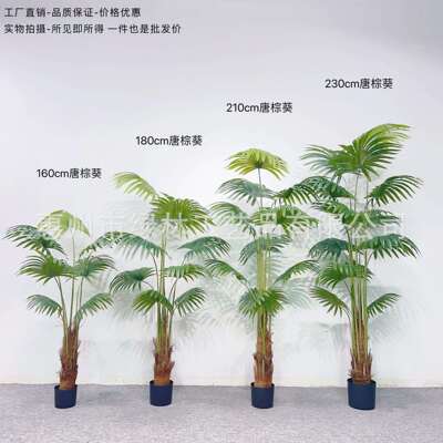 大型仿真绿植扇葵蒲葵假树室内植物客厅唐棕葵盆栽造景装饰摆件