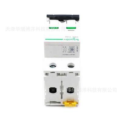 2P小型断路器D25A断路器iC65N空气开关A9F19225动力微断