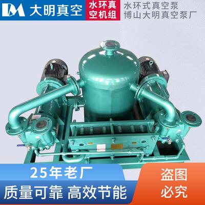水环真空机组各种型号2BV2BE