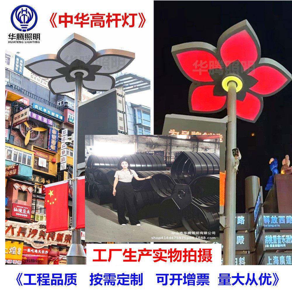 定制杆灯市政广场中华景观灯8米12米景区led亮化工程组合玉兰灯