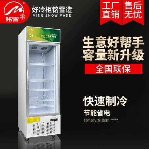 单门冷冻陈列柜速冻柜冰柜哈根达斯冰淇淋冷柜商用冰箱冷藏柜