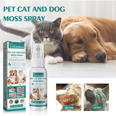 Yegbong Pet Cat and Dog Fungus Spray - Anti-Mite Cleaning an