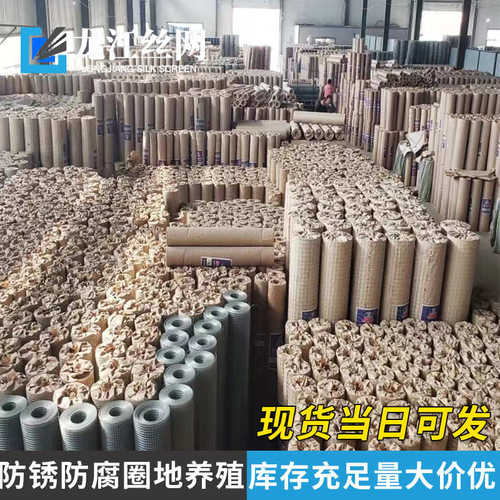 热镀锌电焊网铁丝网保温抹灰钢丝挂网养殖网圈玉米网不锈钢电焊网