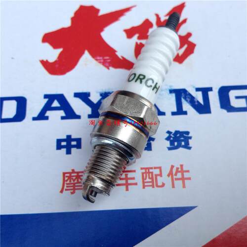 大阳DY100T-6/8/踏板125T/48QT/110-2F/2E/15A/90火花塞电嘴子