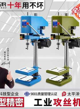 攻丝机大功率重型工业台式攻牙机螺丝攻机小型全自动SWJ-12套丝螺