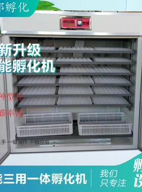 1584枚智能全自动家禽种蛋孵化机特禽孵抱机器中小型孵化设备