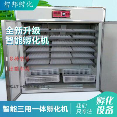 1584枚智能全自动家禽种蛋孵化机特禽孵抱机器中小型孵化设备