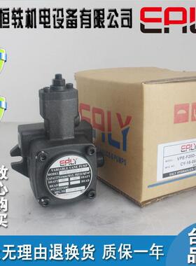 EALY弋力油泵VPE-F20D/F20C/F20B/F20A/F15D/F15C/F12D/F12C-10