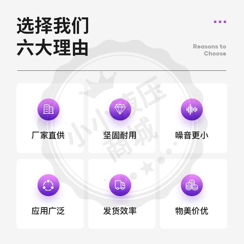 VOITH款齿轮泵IPV/P4/5/6-25/32/16/40/64/100-101伺服电机福伊特