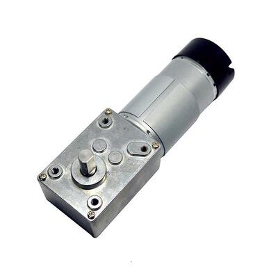 WGM58A 蜗杆速电机 带自锁 有刷马达 24V微型电机 大力矩低噪音