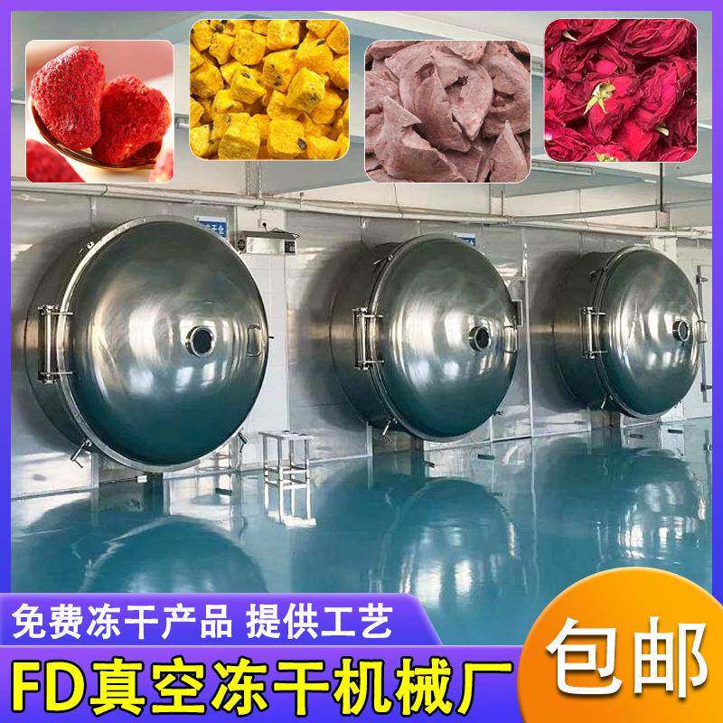冷冻茶粉设备 100平方冻干机 猫草羊奶棒真空低温冻干设备 干燥机