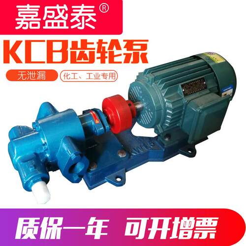 淘货源KCB55齿轮泵小型铸铁电动抽油泵微型kcb涂料齿轮泵