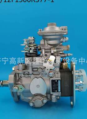 专业销售VE总成22100-0C090 221000C090