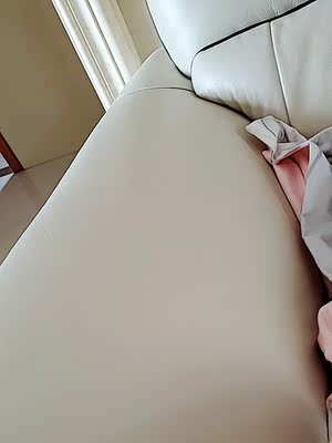 芝华仕都市现代简约组合真皮沙发怎么样？会不会问题很多？