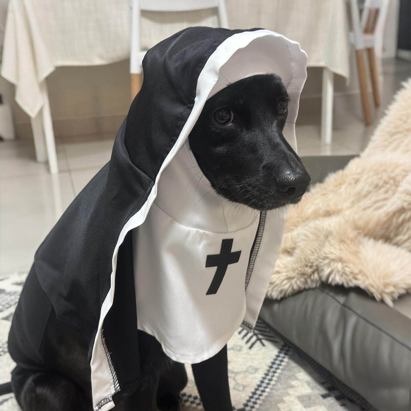 狗狗万圣节变装修女服搞怪cos拍照道具帽衫衣服中小型犬哥特风