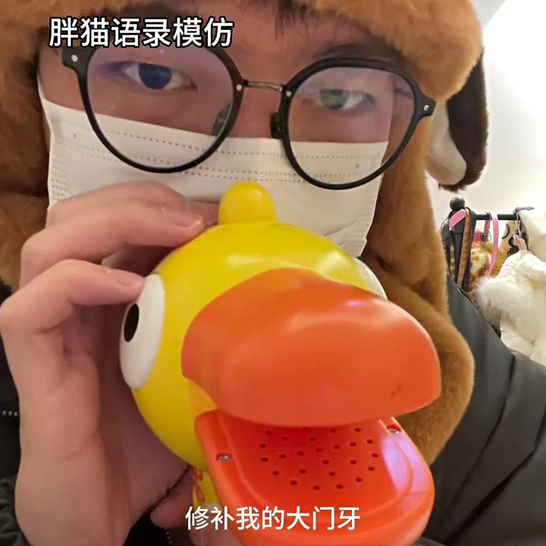 胖猫变声器儿童节语录模仿小喇叭录音玩具学说话麦克风六一儿童节