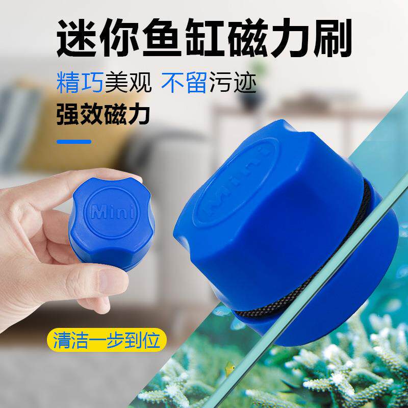 鱼缸磁力刷水族双面清洁刷除苔 玻璃悬浮刮刀迷你鱼缸刷跨境外贸