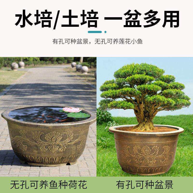 特大花盆家用兰花睡碗莲荷花盆户外树脂塑料盆栽种植盆景