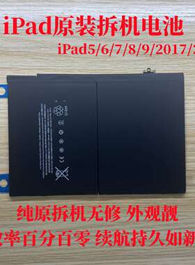 原装拆机iPad6 7 8 9电池A2197 A2270 A2602 A1566平板原装电池