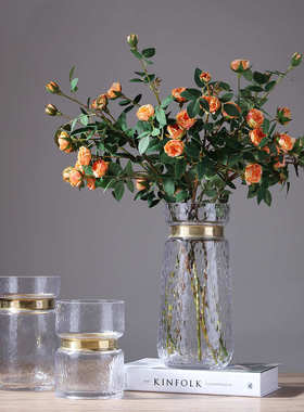 批发铜圈透明 花瓶吹玻璃插花人工摆件制金属环水培欧式干花花瓶