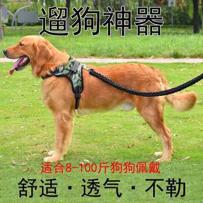 柯基牵引绳大型犬伸缩背