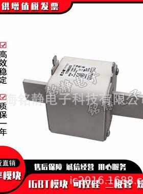 170M6263 170M6264 170M6265 170M6266巴斯曼熔断器现货170M6267