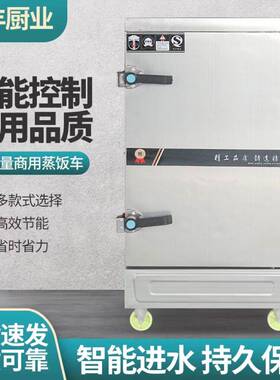 定制蒸饭车学校食堂家用燃气电热多功能蒸饭车蒸饭箱蒸饭柜商用