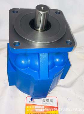 供应CBG3125-B2R-34钻机液压泵多种规格