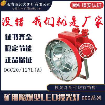 远大生产矿用隔爆型LED投光灯DGC20/127L(A)煤矿采掘工作面适用