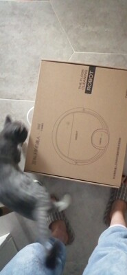 科沃斯地宝DN55怎么样?看过震撼反馈让我更了解它了