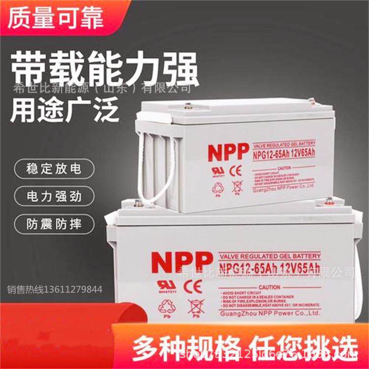 NPP耐普NPG12-50太阳能胶体蓄电池12V50AH光伏发电机房配套蓄电池