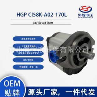 HGP 出口专用 Keyed Shaft 液压泵 170L A02 CI58K