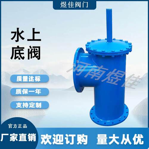 不锈钢耐腐蚀逆止阀单向阀安装简单法兰连接SSDF-1水上式底阀