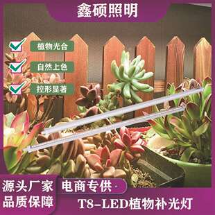 大棚30W绿植led花卉植物灯全光谱育苗植物补光灯管t8植物生长灯条