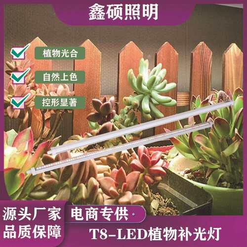 大棚30W绿植led花卉植物灯全光谱育苗植物补光灯管t8植物生长灯条