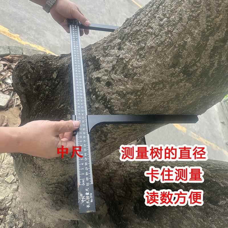 大树卡尺测量树木尺子长爪量尺树径尺量树量直径大卡尺轮胎卡尺